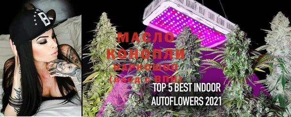 PSILOCYBIN Майский