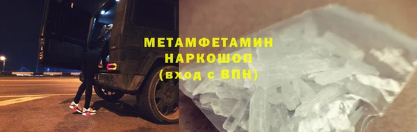 PSILOCYBIN Майский