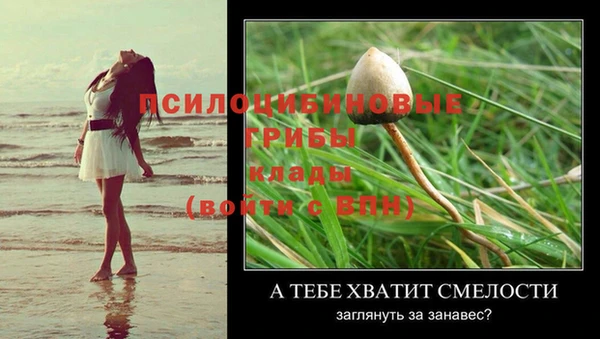 твердый Мегион