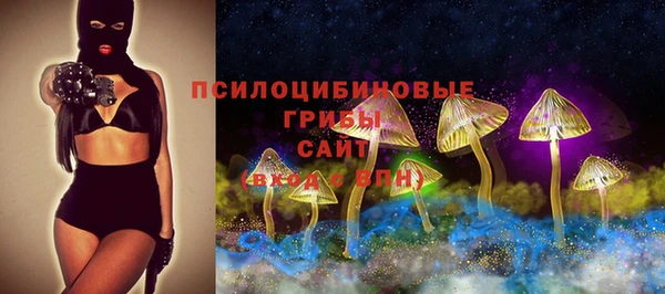 PSILOCYBIN Майский
