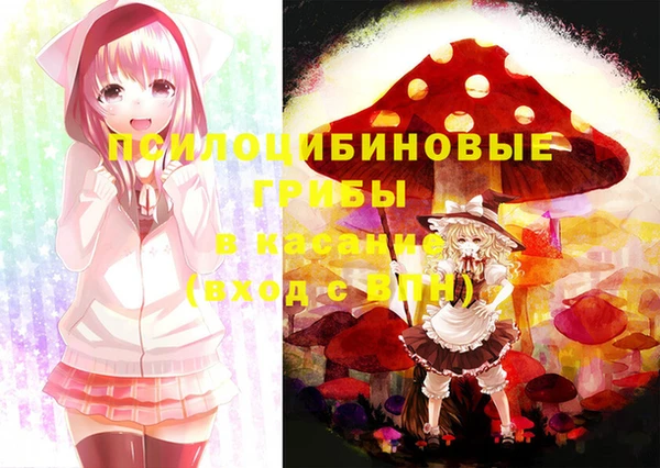 PSILOCYBIN Майский