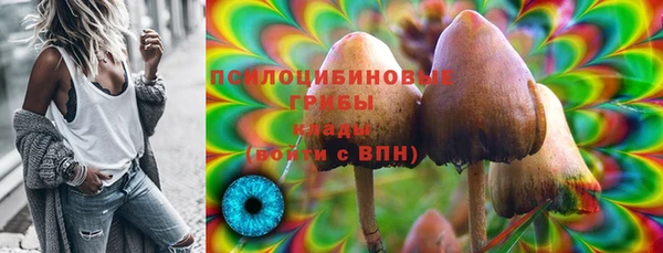 PSILOCYBIN Майский