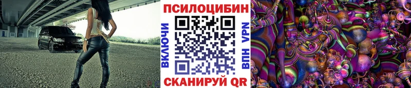 Купить где  Карабаш  Галлюциногенные грибы GOLDEN TEACHER 